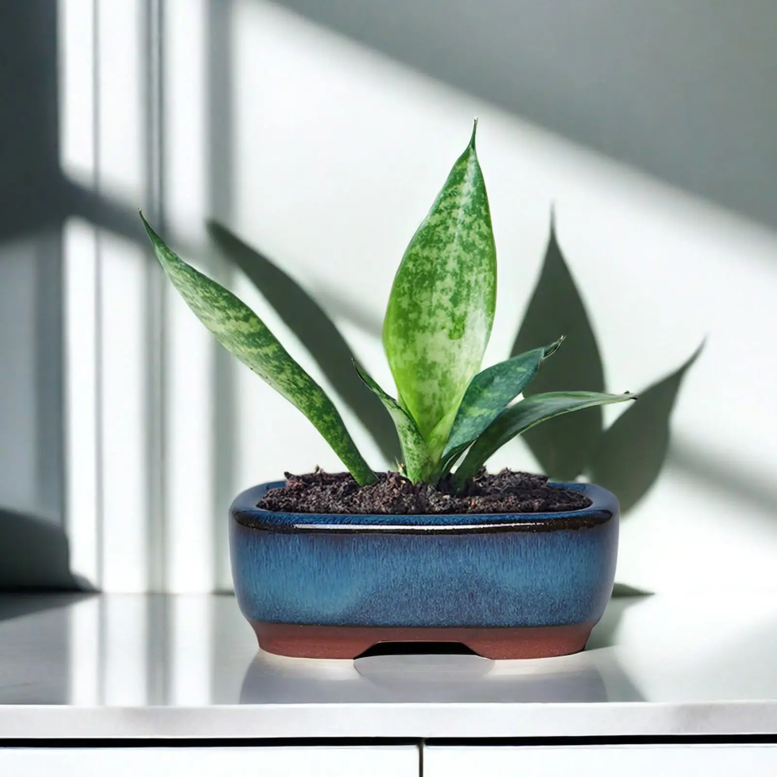 Ceramic Flower Pots (Set)